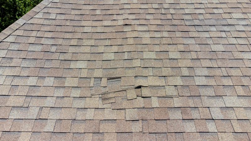 Asphalt Roof Inspection in Upper Darby, PA
