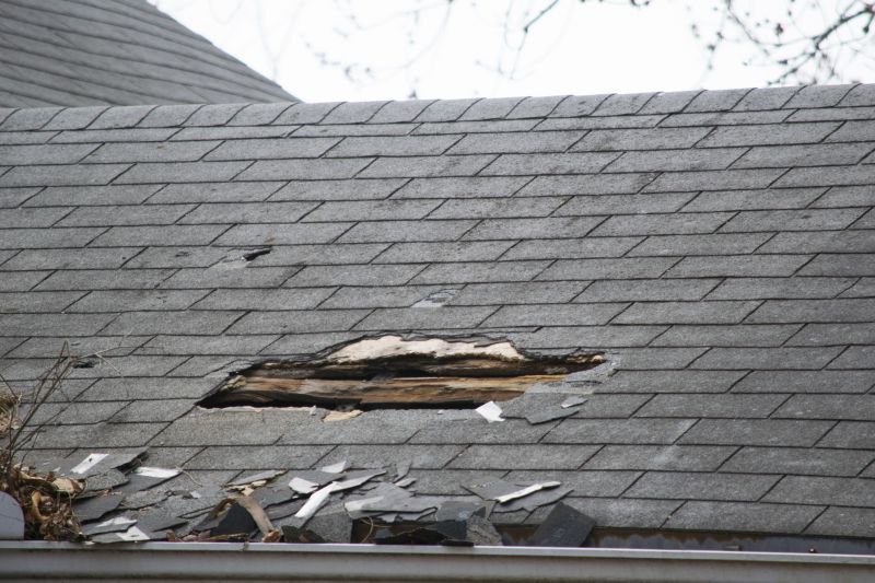 Asphalt Roof Leak Repair in Camden County, NJ