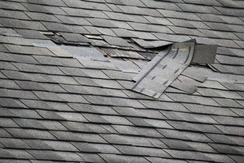Asphalt Roof Leak Repair in Collingswood, NJ