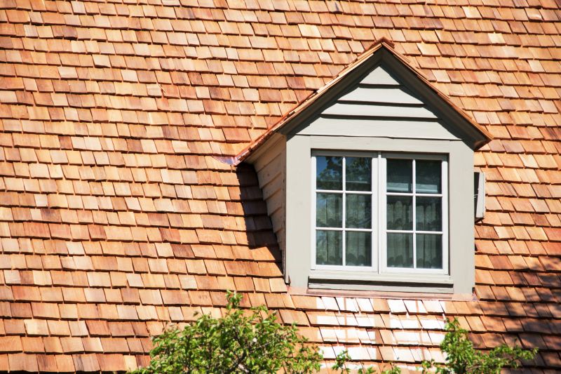 Cedar Shake Roof Repair in Camden, NJ