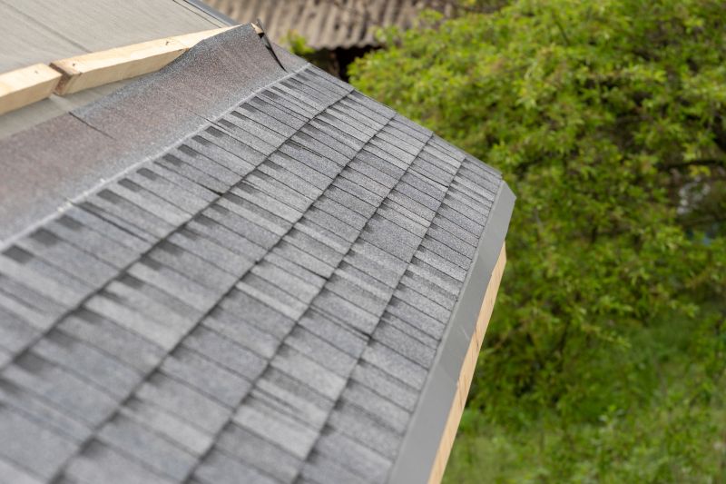 Damaged Roof Repair in Audubon, NJ