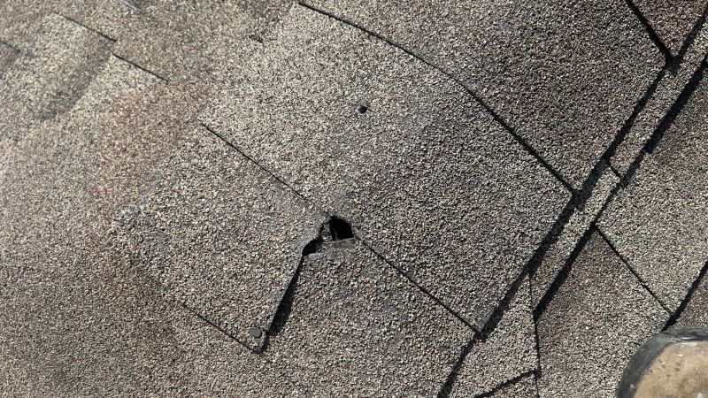 Damaged Roof Repair in Haddon Heights, NJ