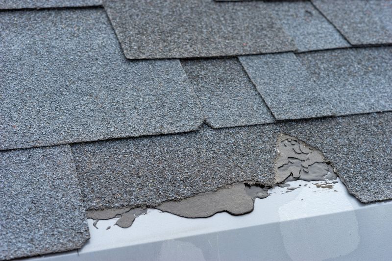 Damaged Roof Repair in Haddon Heights, NJ