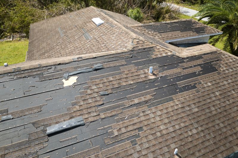 Hail Damage Roof Repair in Willingboro, NJ