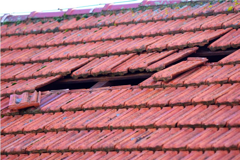 Roof Damage Inspection in Cheltenham, PA