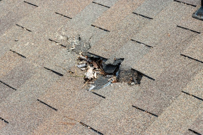 Roof Shingles Replacement in Moorestown, NJ