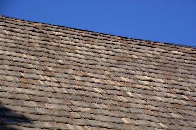 Shake Shingle Repair in Franklinville, NJ