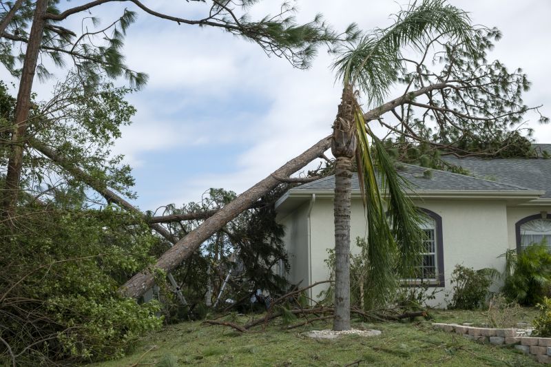 Storm Damage Roof Repair in Elkins Park, PA