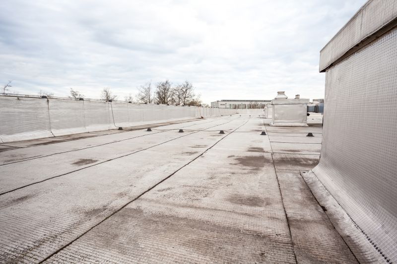 Tpo Roof Repair in Woodstown, NJ