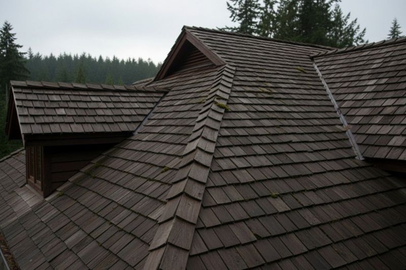 Wood Shake Roof Replacement in Salem County, NJ
